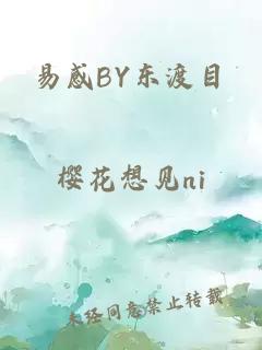 易感BY东渡目