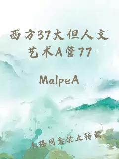 西方37大但人文艺术A管77