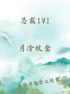 总裁1V1