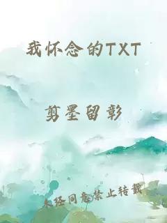 我怀念的TXT