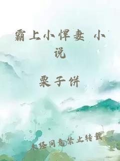 霸上小悍妻 小说