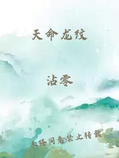 天命龙纹