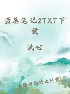 盗墓笔记2TXT下载