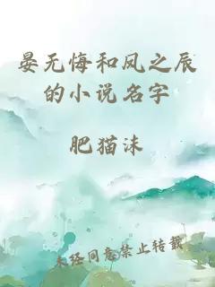 晏无悔和凤之辰的小说名字