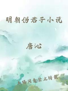 明朝伪君子小说