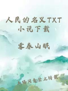 人民的名义TXT小说下载