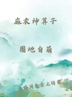 麻衣神算子