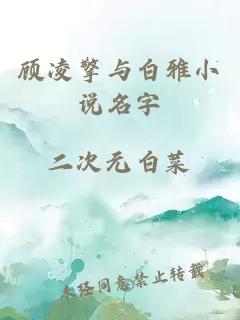 顾凌擎与白雅小说名字