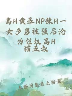 高H黄暴NP辣H一女多男被强后沦为性奴高H