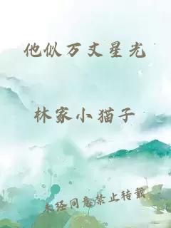 他似万丈星光