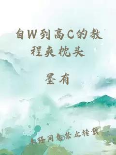 自W到高C的教程夹枕头