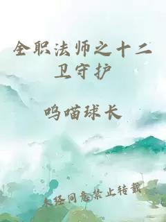 全职法师之十二卫守护