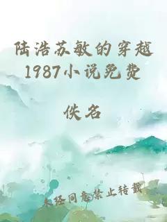 陆浩苏敏的穿越1987小说免费