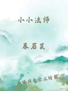 小小法师