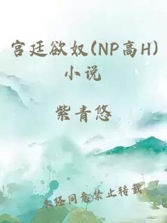 宫廷欲奴(NP高H)小说