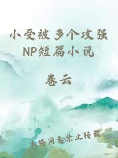 小受被多个攻强NP短篇小说