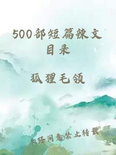 500部短篇辣文目录