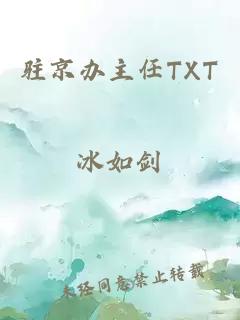 驻京办主任TXT