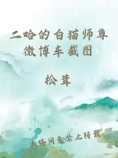 二哈的白猫师尊微博车截图