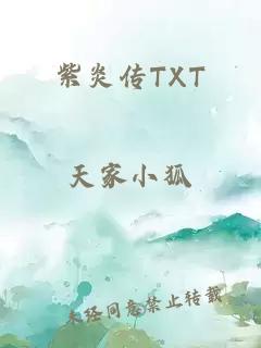 紫炎传TXT