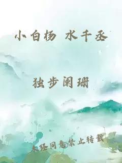 小白杨 水千丞