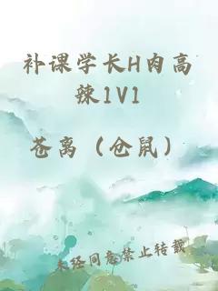 补课学长H肉高辣1V1