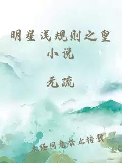 明星浅规则之皇小说