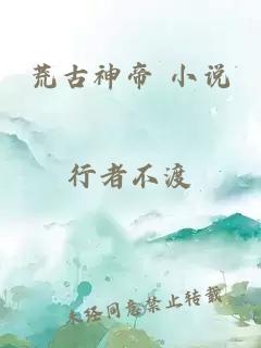 荒古神帝 小说