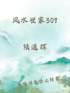 风水世家309