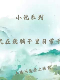 小说系列