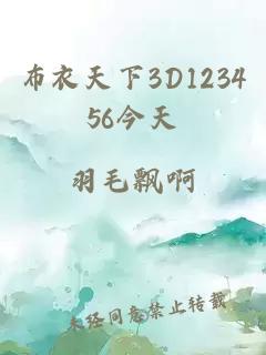 布衣天下3D123456今天