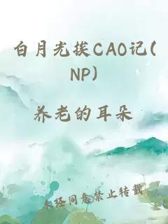 白月光挨CAO记(NP)