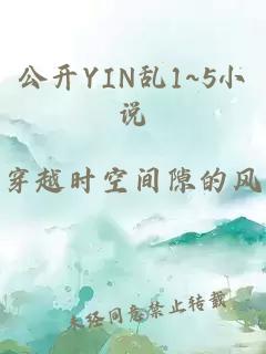 公开YIN乱1~5小说