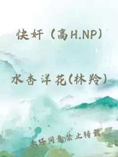 快奸 (高H.NP)