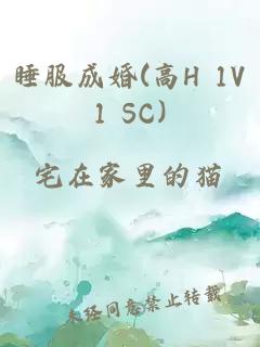 睡服成婚(高H 1V1 SC)