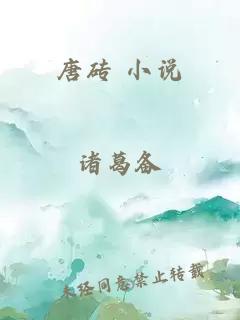 唐砖 小说