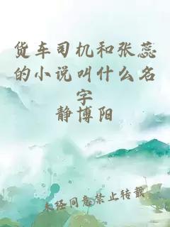 货车司机和张蕊的小说叫什么名字