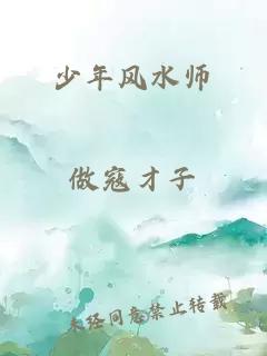 少年风水师