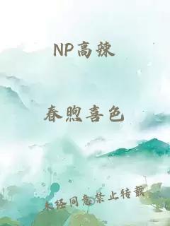 NP高辣