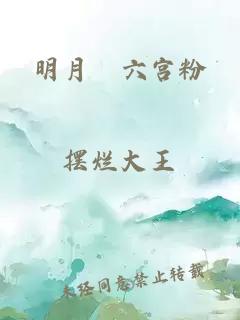 明月珰六宫粉