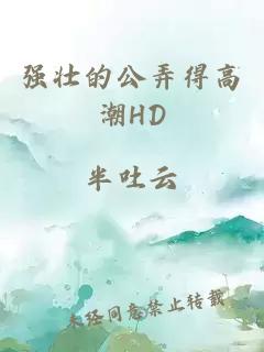 强壮的公弄得高潮HD