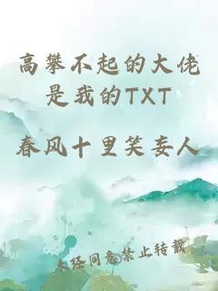 高攀不起的大佬是我的TXT