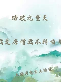 踏破九重天