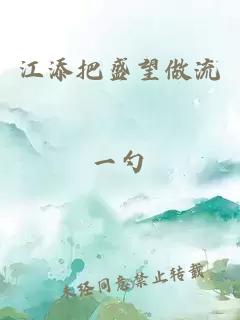 江添把盛望做流