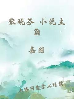 张晓芬 小说主角