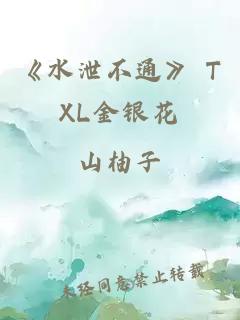 《水泄不通》 TXL金银花