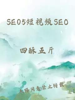 SE05短视频SEO