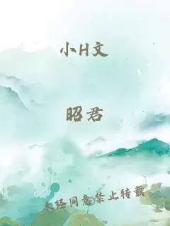 小H文