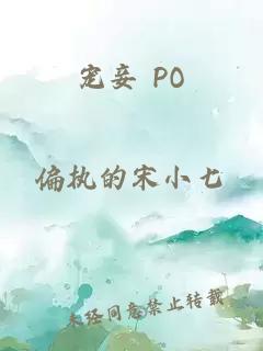 宠妾 PO