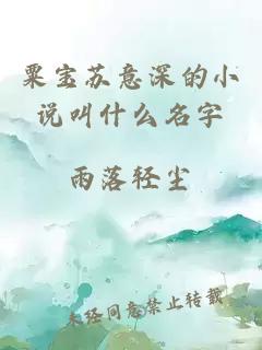 粟宝苏意深的小说叫什么名字